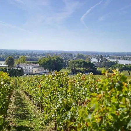 Apartmán En Duplex De Luxe Libourne